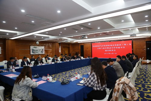 深耕“兩深一非”新領域 以信息技術咨詢服務強化國家能源安全的重科力量